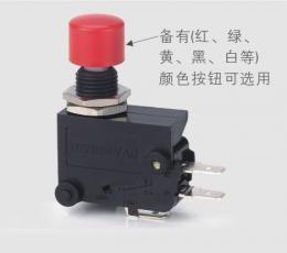 藍(lán)鳥RENEW RS-5GL 短柄微動(dòng)開關(guān) 電工開關(guān)領(lǐng)域的可靠選擇